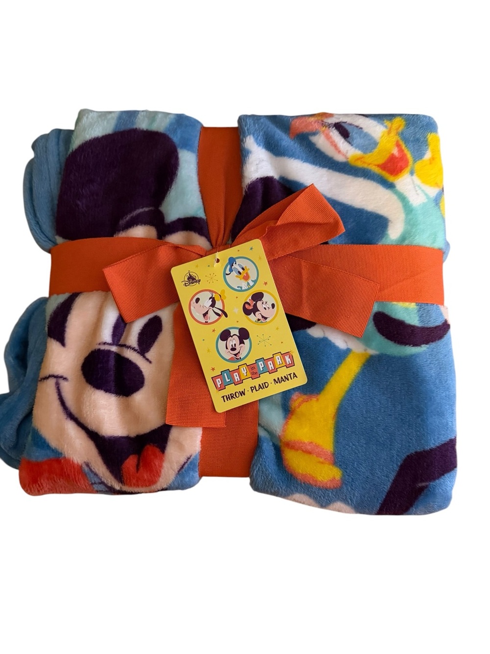 Disney Play in the Park Plush Throw 50 x 60